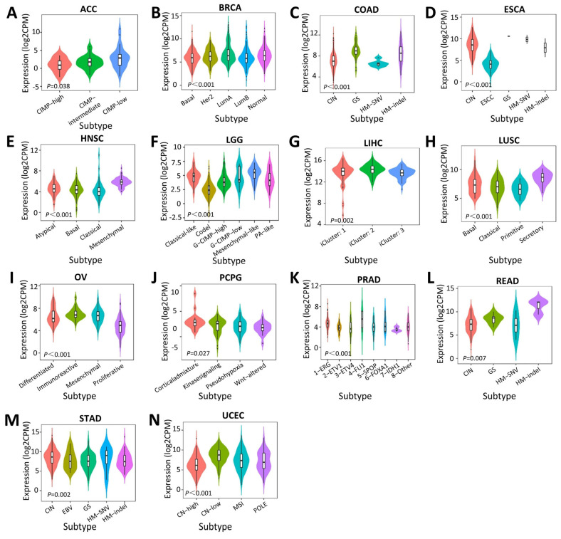 PMC10380780 – ijms-24-11566-f005