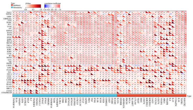 PMC10380780 – ijms-24-11566-f006