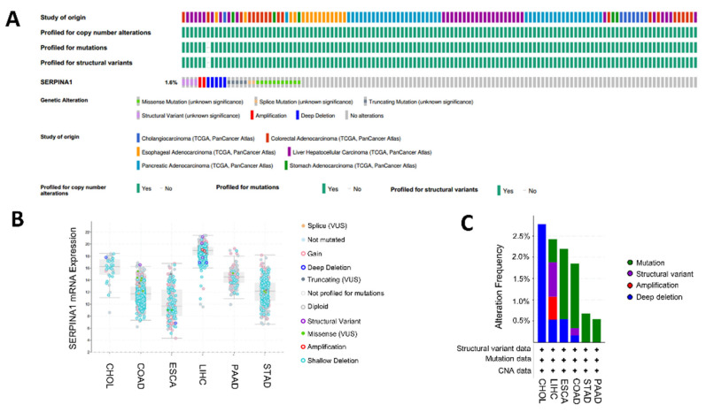 PMC10380780 – ijms-24-11566-f009