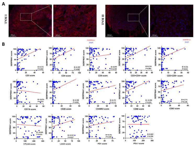 PMC10380780 – ijms-24-11566-f010