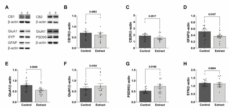 PMC10380262 – ijms-24-11775-f003