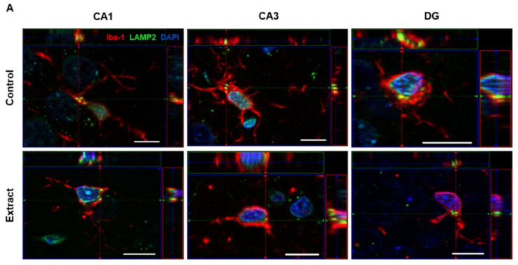 PMC10380262 – ijms-24-11775-f006