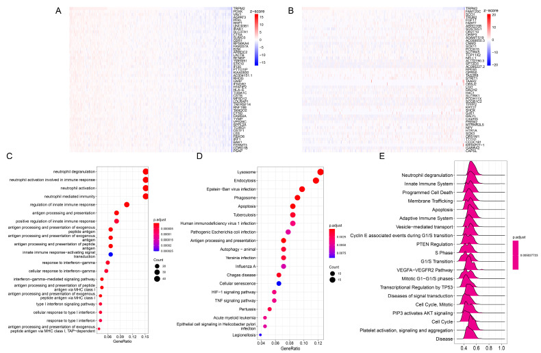 PMC10418504 – ijms-24-11912-f004