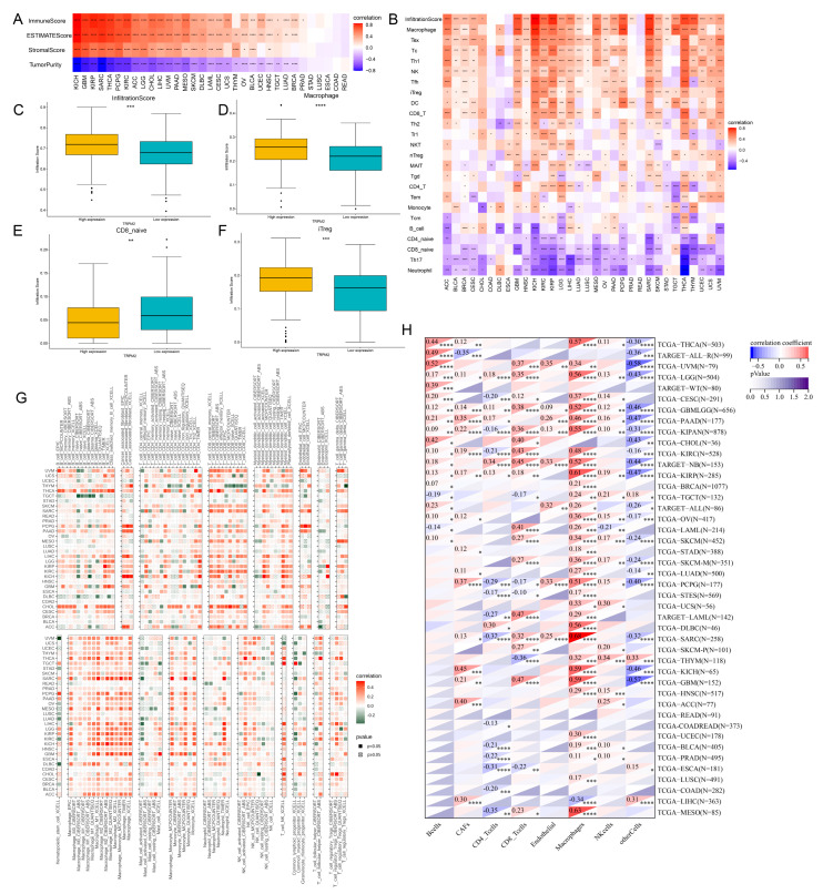 PMC10418504 – ijms-24-11912-f005
