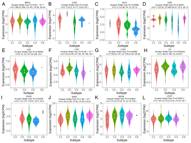 PMC10418504 – ijms-24-11912-f007