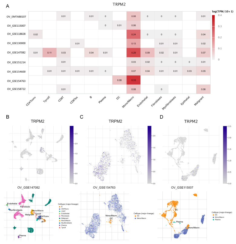 PMC10418504 – ijms-24-11912-f010