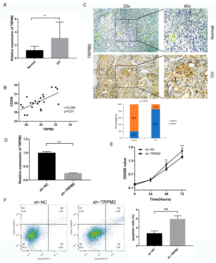 PMC10418504 – ijms-24-11912-f011