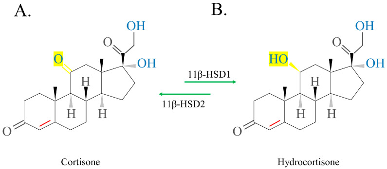 PMC10418884 – ijms-24-12138-f003