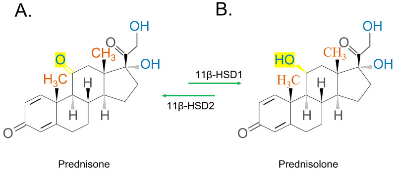 PMC10418884 – ijms-24-12138-f004