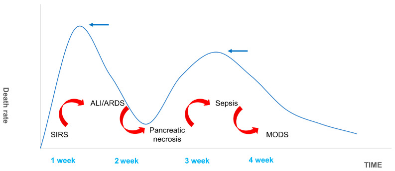 PMC10418884 – ijms-24-12138-f007