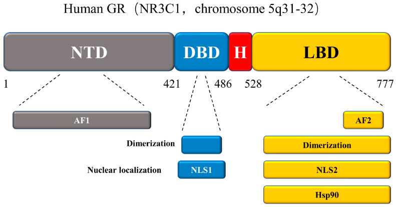 PMC10418884 – ijms-24-12138-f008