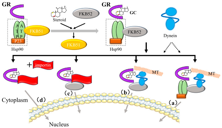 PMC10418884 – ijms-24-12138-f009