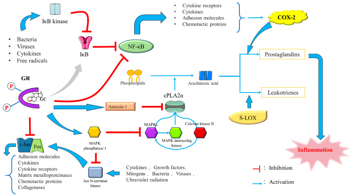 PMC10418884 – ijms-24-12138-f012