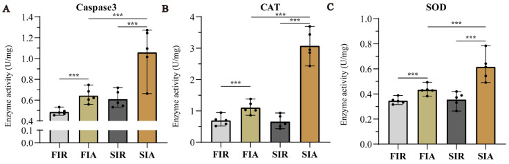 PMC10418618 – ijms-24-12191-f003