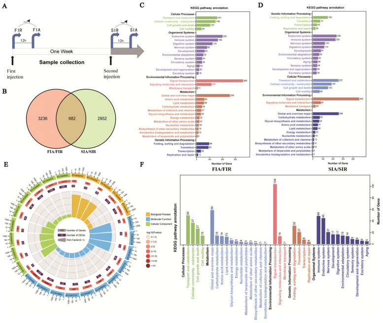 PMC10418618 – ijms-24-12191-f004