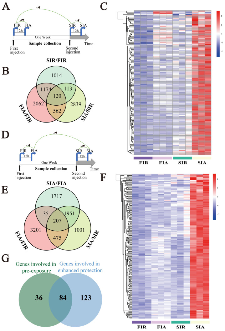 PMC10418618 – ijms-24-12191-f005