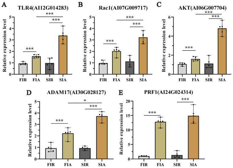 PMC10418618 – ijms-24-12191-f006