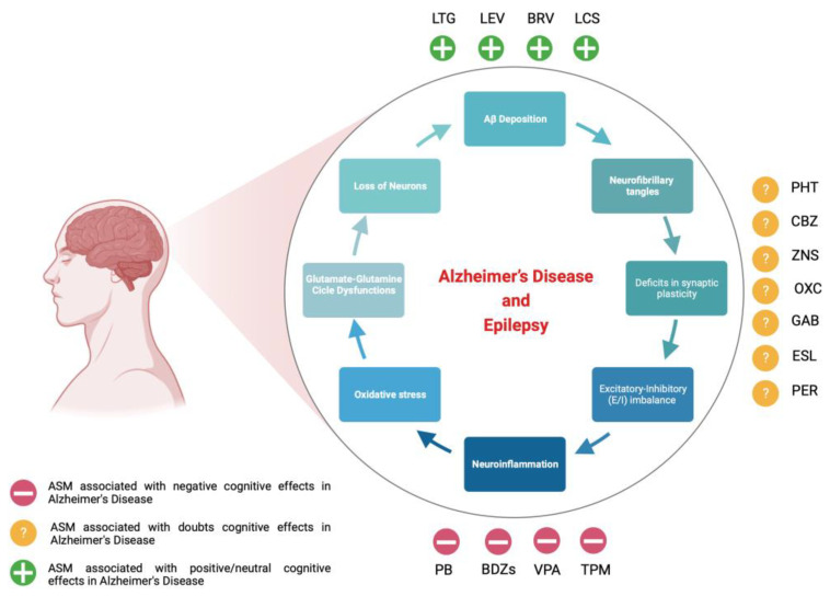 PMC10454935 – ijms-24-12639-f001