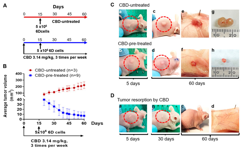 PMC10488207 – ijms-24-13235-f002