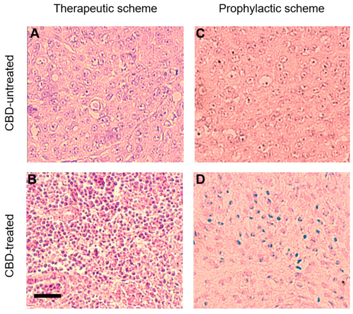 PMC10488207 – ijms-24-13235-f003