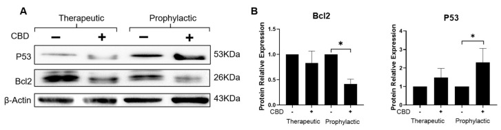 PMC10488207 – ijms-24-13235-f005