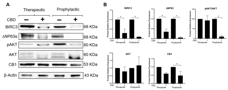 PMC10488207 – ijms-24-13235-f006