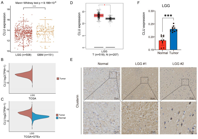 PMC10487477 – ijms-24-13413-f002