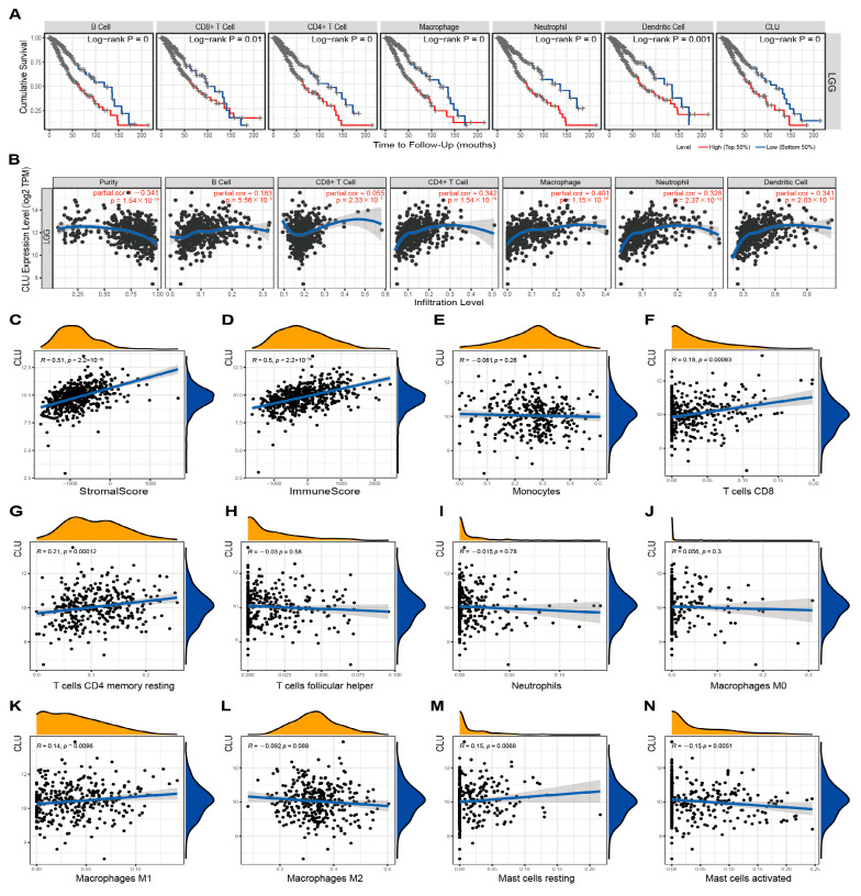 PMC10487477 – ijms-24-13413-f004