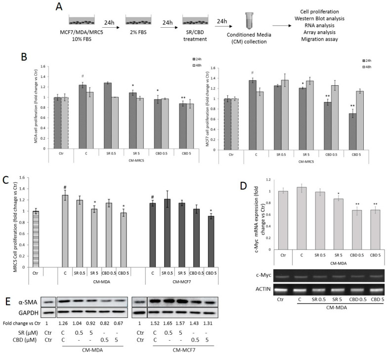 PMC10487984 – ijms-24-13427-f004