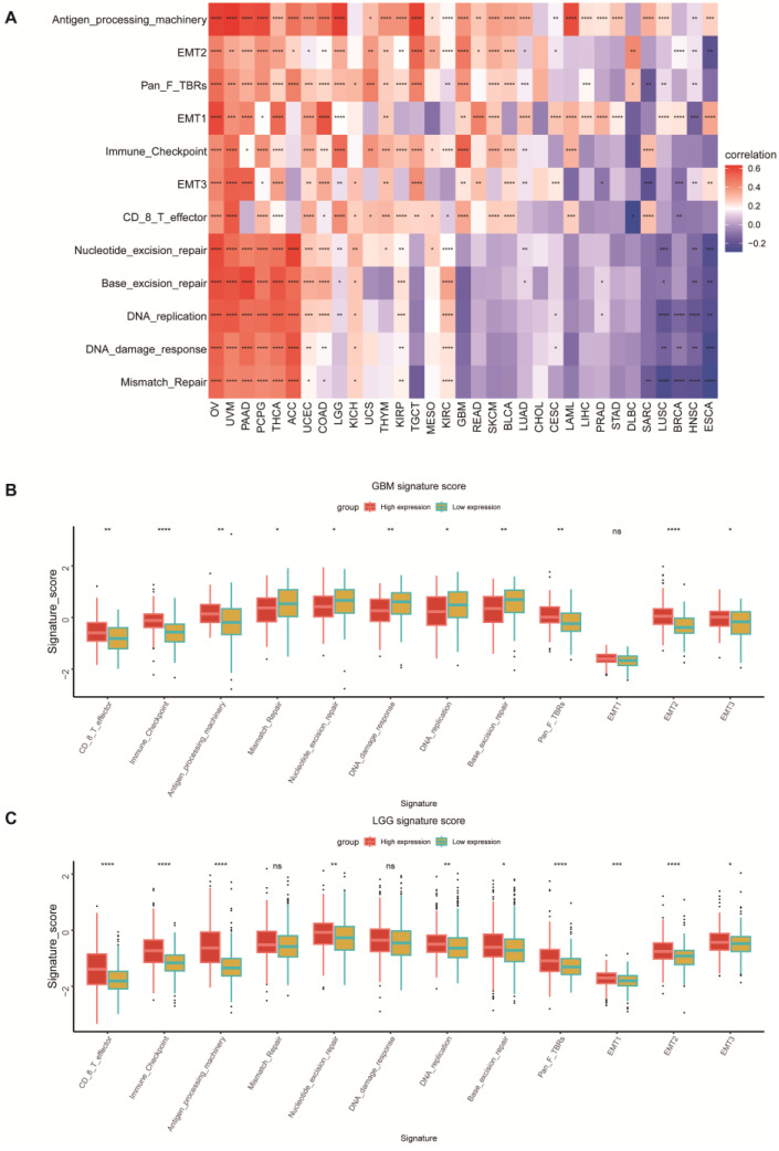 PMC10530695 – ijms-24-13919-f005