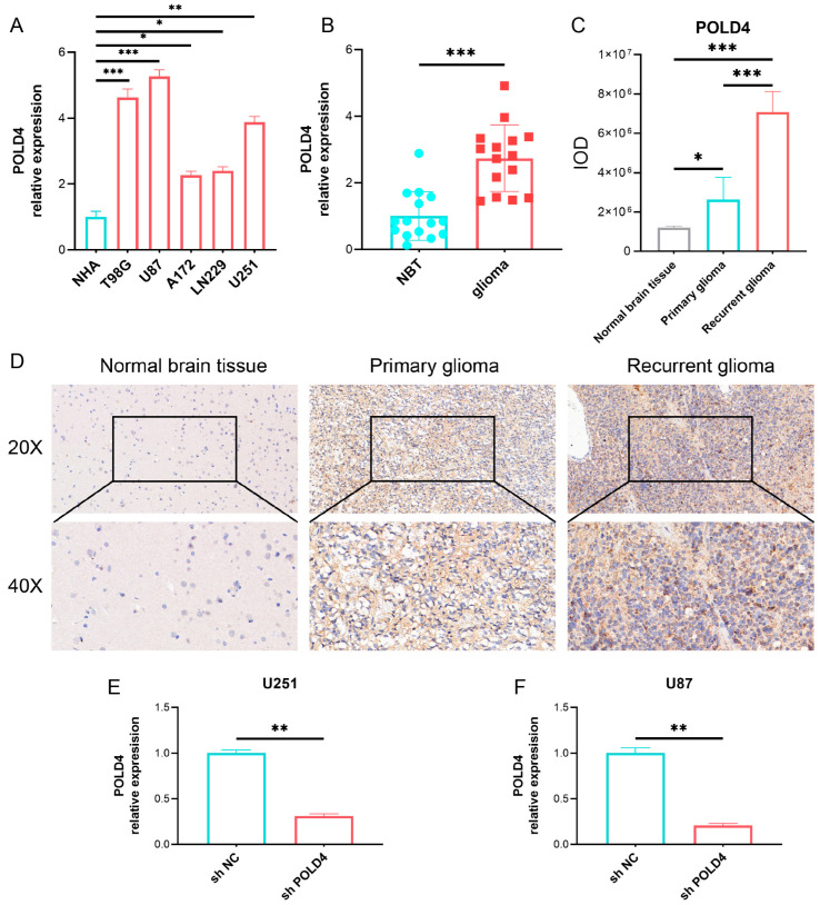 PMC10530695 – ijms-24-13919-f012