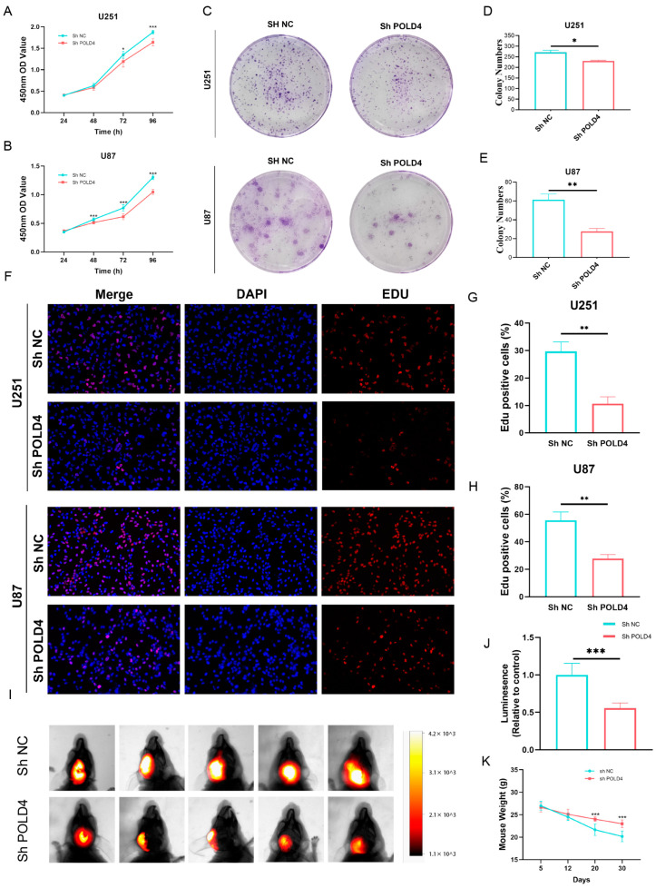 PMC10530695 – ijms-24-13919-f013