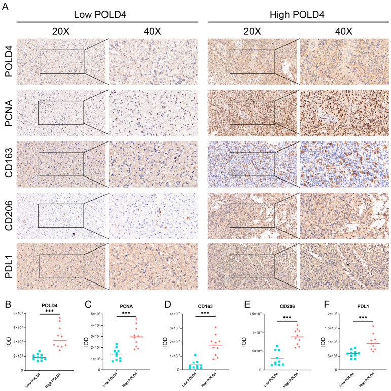 PMC10530695 – ijms-24-13919-f014
