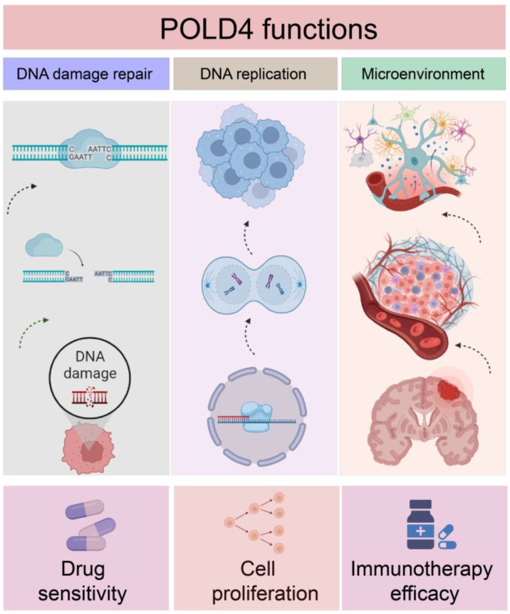 PMC10530695 – ijms-24-13919-f015