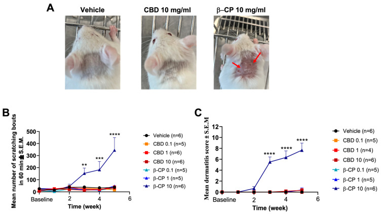 PMC10532273 – ijms-24-14328-f001
