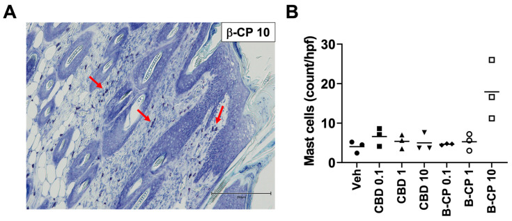 PMC10532273 – ijms-24-14328-f005