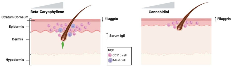 PMC10532273 – ijms-24-14328-f009