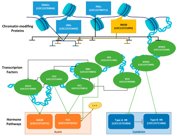 PMC10572465 – ijms-24-14625-f007