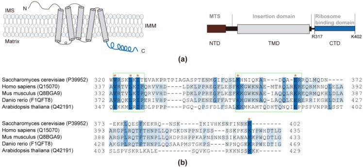 PMC10572626 – ijms-24-14657-f001