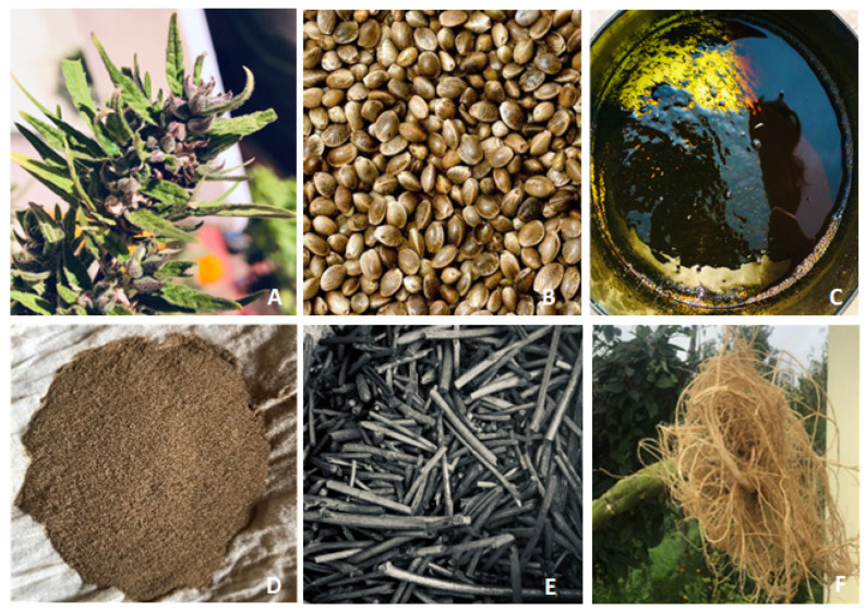 PMC10572150 – ijms-24-14677-f001