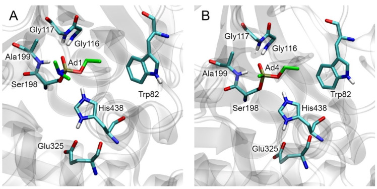 PMC10573431 – ijms-24-14819-f003