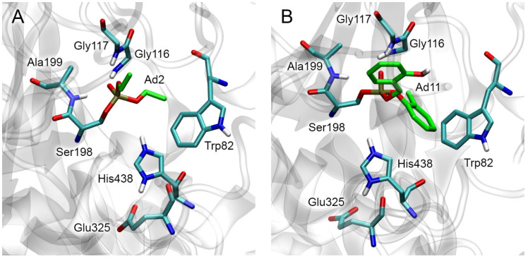PMC10573431 – ijms-24-14819-f004