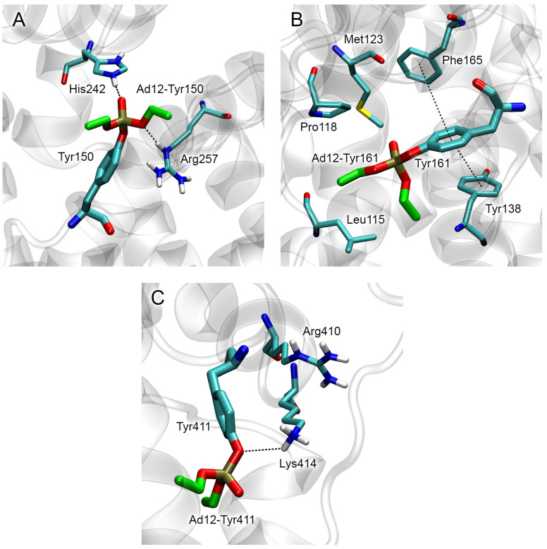 PMC10573431 – ijms-24-14819-f005