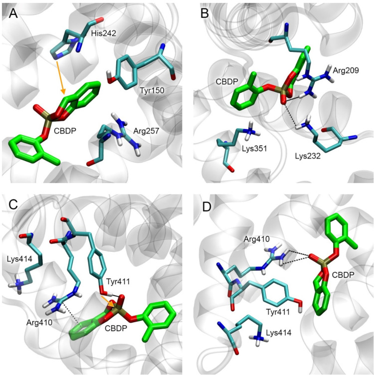 PMC10573431 – ijms-24-14819-f007