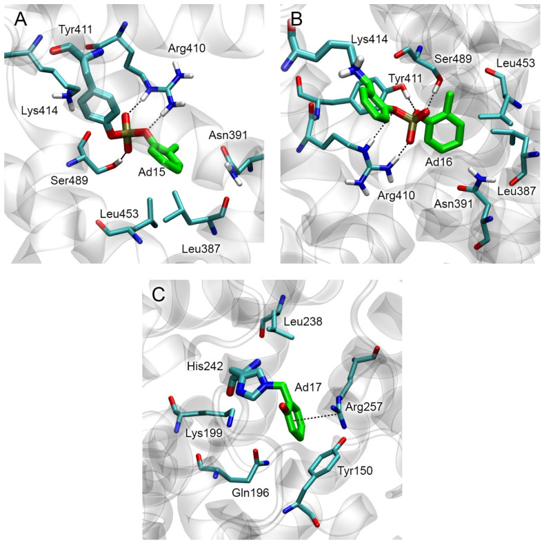 PMC10573431 – ijms-24-14819-f008