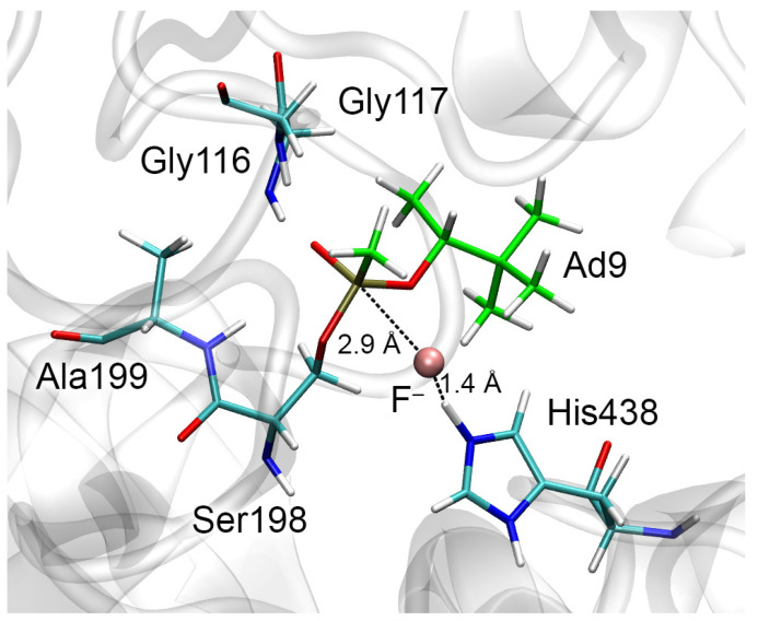 PMC10573431 – ijms-24-14819-f009