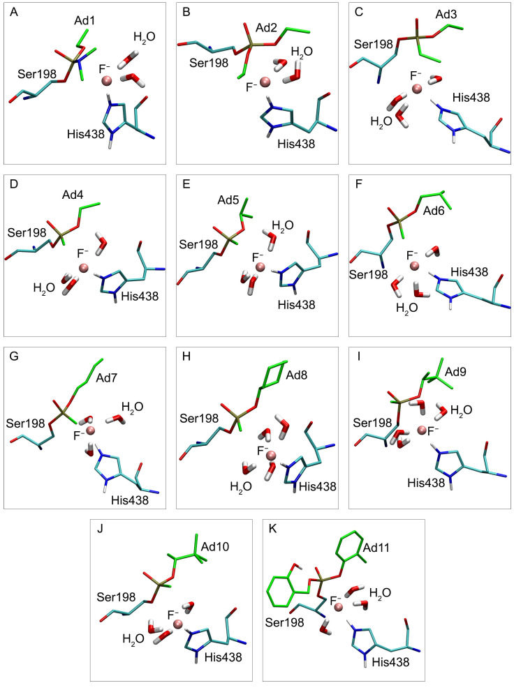 PMC10573431 – ijms-24-14819-f011