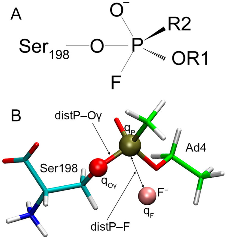 PMC10573431 – ijms-24-14819-f012
