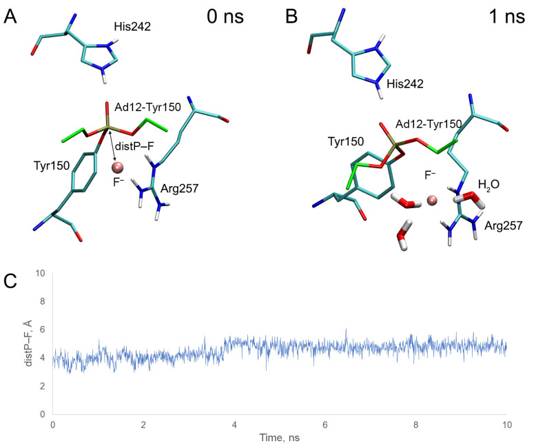 PMC10573431 – ijms-24-14819-f013