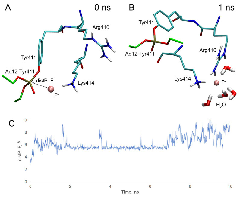 PMC10573431 – ijms-24-14819-f014